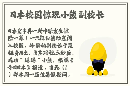 一个在上 一个在下